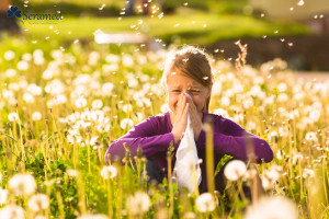 prevenir las alergias en primavera